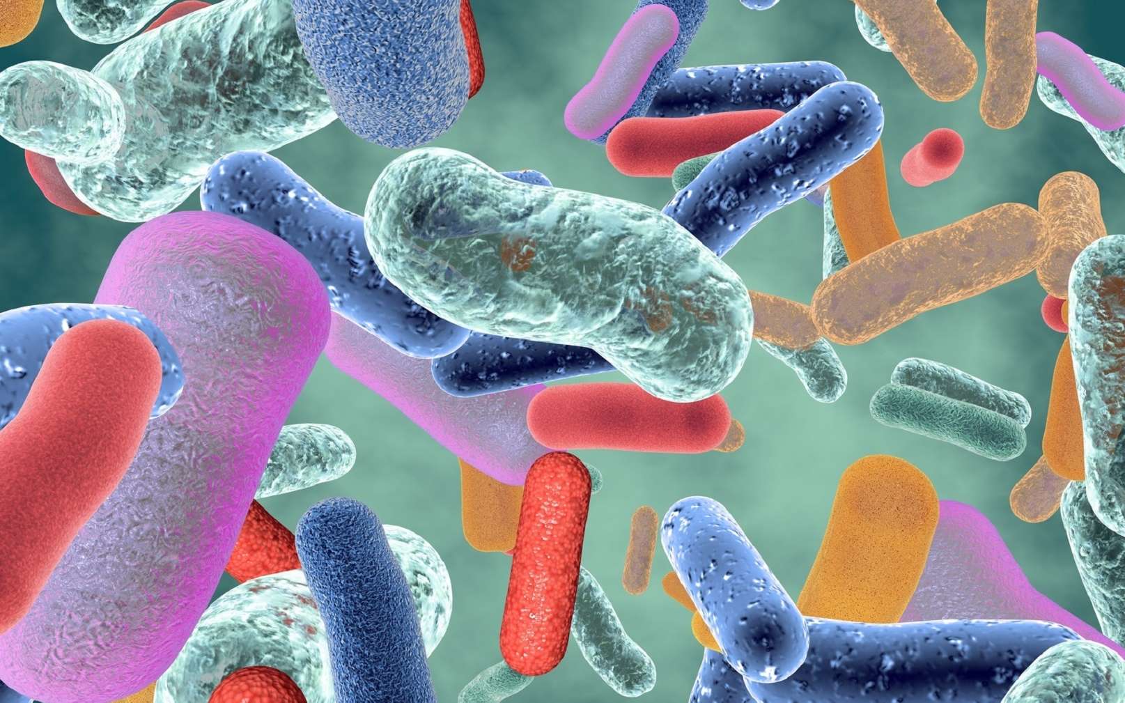 Les généralités sur le microbiote