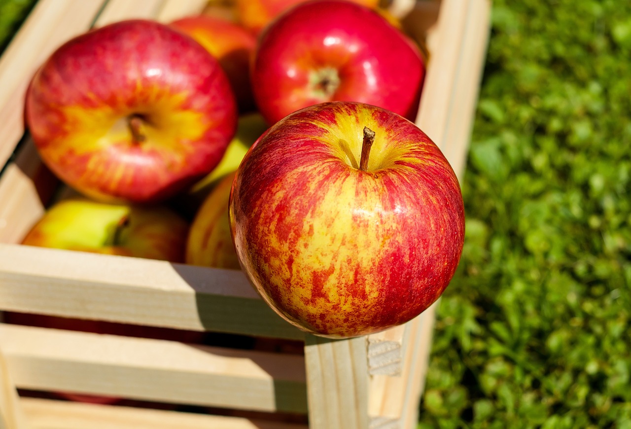 Pomme : serait-elle dangereuse pour la santé ?